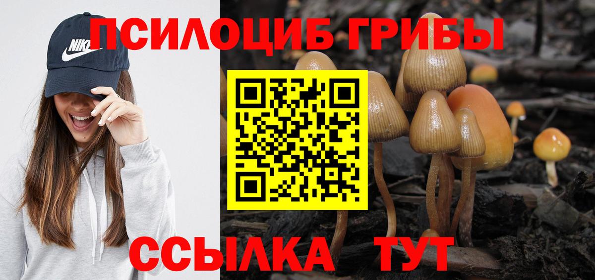 Нягань  Псилоцибиновые грибы Magic Shrooms  дарнет шоп  Вход с VPN 